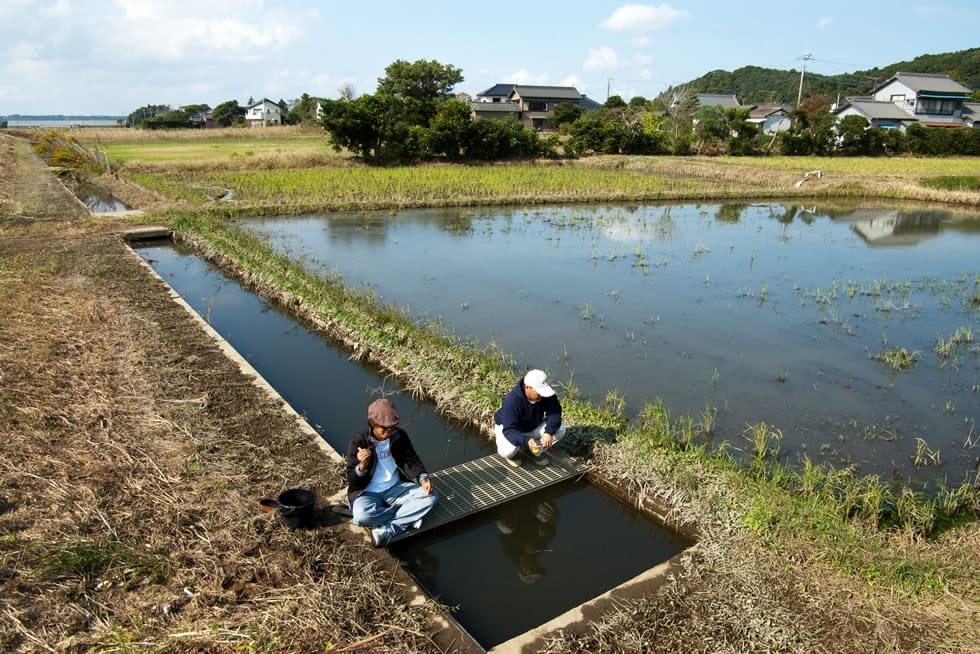 タナゴのウキ釣り入門 釣り場の選び方 釣り方 釣り具解説 Honda釣り倶楽部 Honda