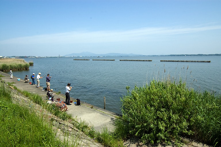 小場所に群れを作って暮らすタイリクバラタナゴとは打って変わって、広々とした湖水で釣れ盛るのはオオタナゴ。湖岸のコンクリート護岸に沿った開けた場所を捜し、その沖めに崩れ護岸やテトラポッドが沈んでいる個所が好ポイントだ。少し風があって波立っていたほうが食いはよい