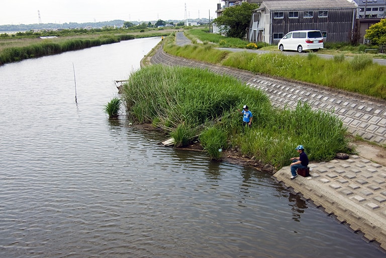 湖に流れ込む大中河川は、適度な水流が期待できるため、気温水温ともに高い夏場はタナゴたちが避暑を兼ねて集まってくる。日が暮れる寸前の夕マヅメ時が絶好のねらいめで、在来大型種として人気が高いカネヒラやアカヒレタビラなどの通称マタナゴが釣れることもある