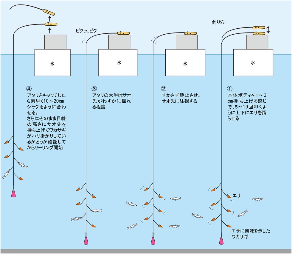 氷上ワカサギの穴釣り入門 穴釣りの基本テクニック 釣り方 釣り具解説 Honda釣り倶楽部 Honda