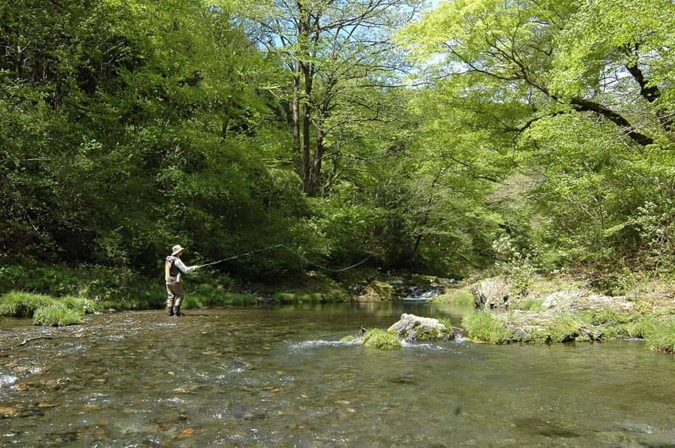 落ち込みをねらったフライキャスティング。うまくフライを流せるかどうかはこの動作に掛かっていると言ってもよい