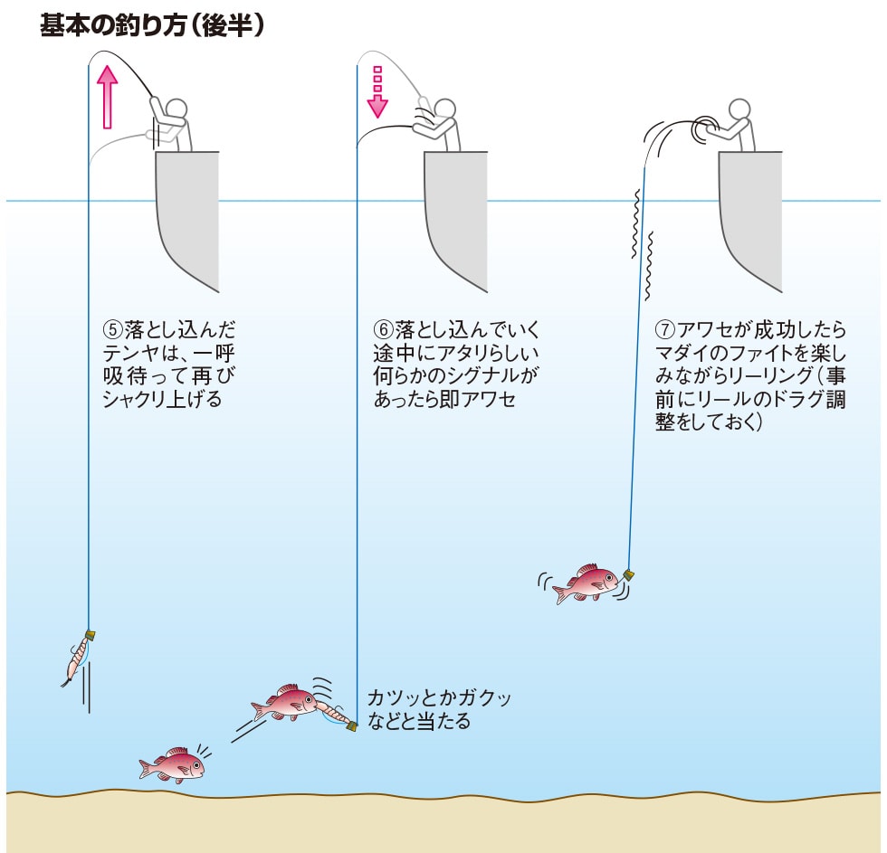 一つテンヤマダイ釣り入門 一つテンヤマダイの釣り方 基礎編 釣り方 釣り具解説 Honda釣り倶楽部 Honda