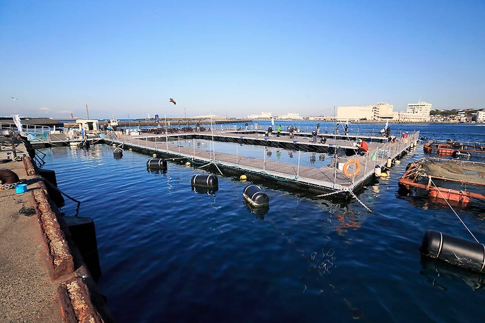 穏やかな湾の中に浮かぶ海上釣り堀。