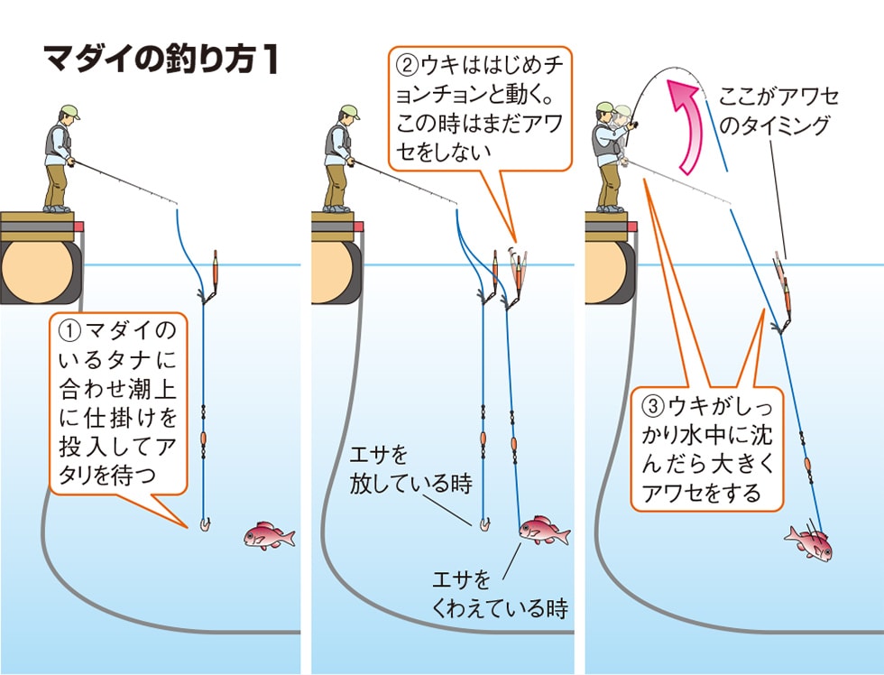 初めての 海上釣り掘 入門 ウキ釣りのベーシック マダイ編 釣り方 釣り具解説 Honda釣り倶楽部 Honda公式サイト