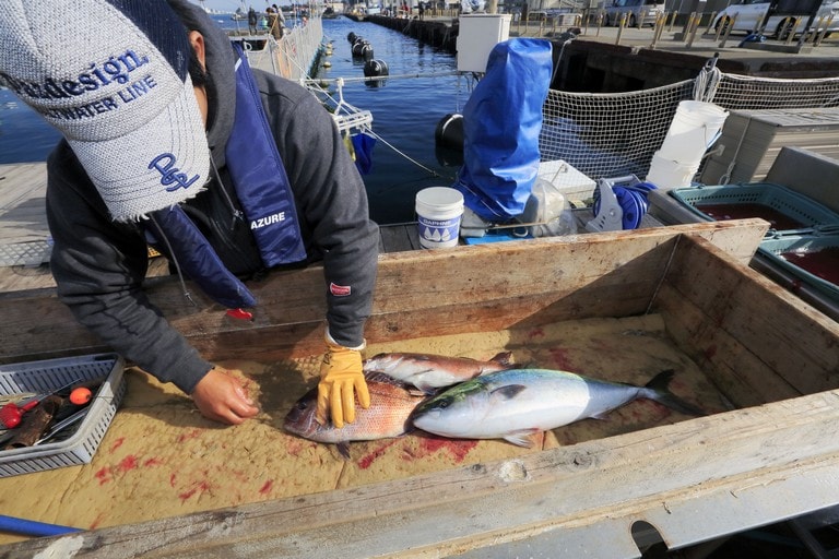 血抜きや神経締めなど、魚を美味しく食べるためのサービスも充実している。