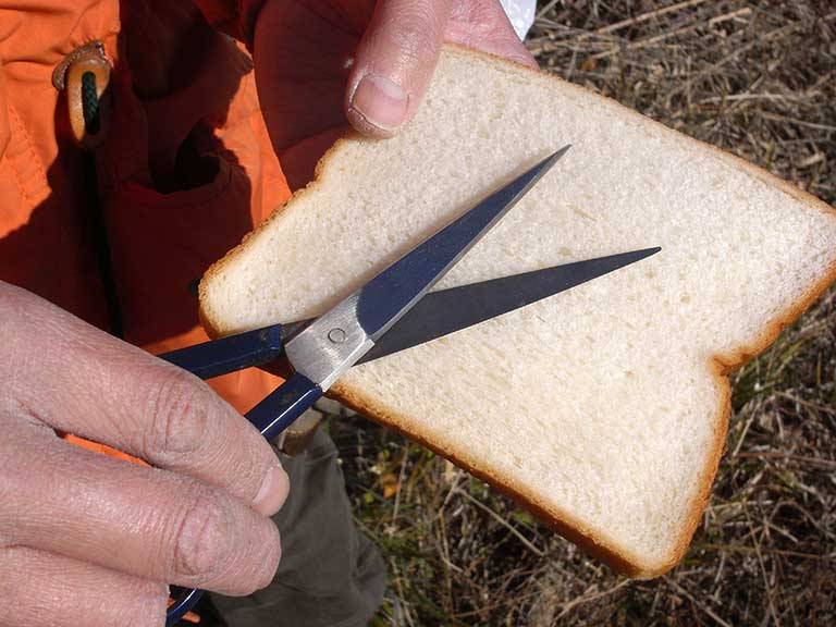 パンの切り方