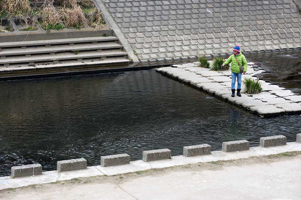 釣りはコイの上流側から行なう