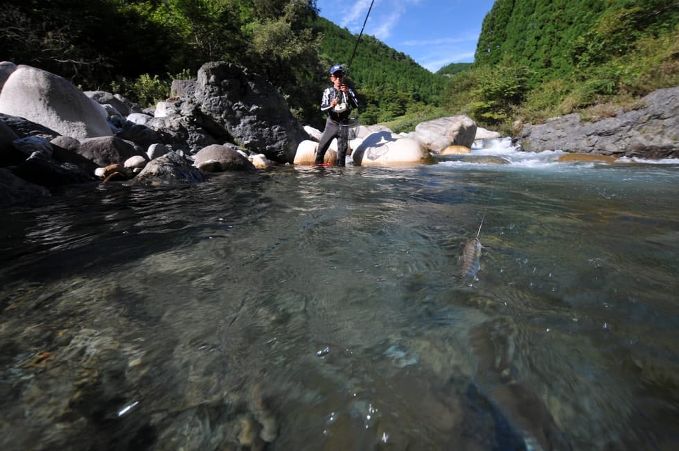 澄んだ水から姿を現わす渓流魚には格別の美しさがある