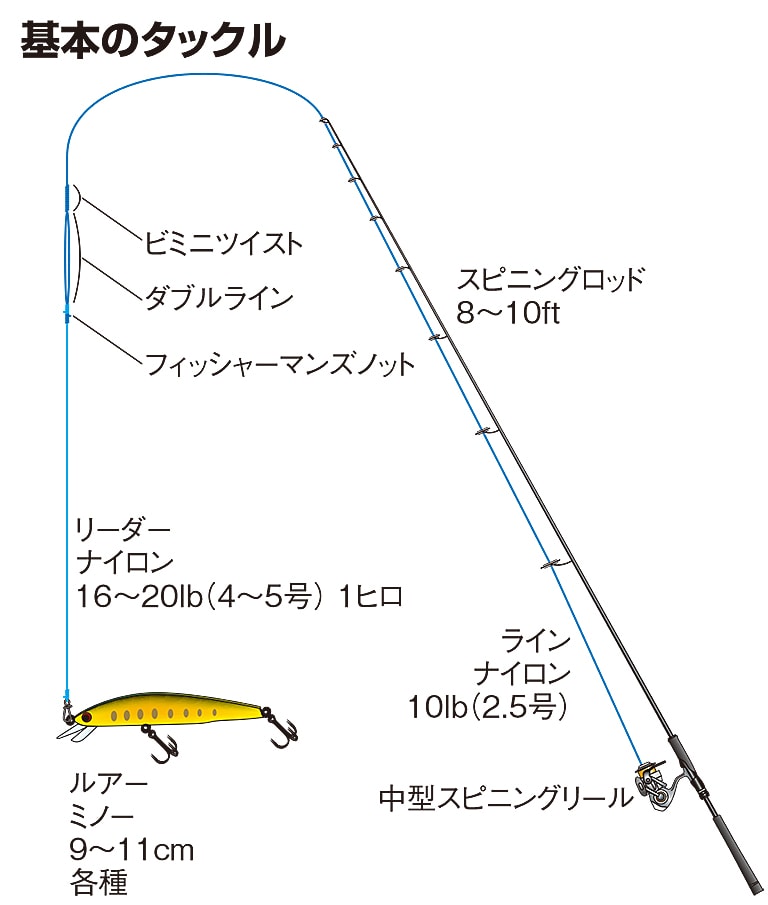 基本のタックル