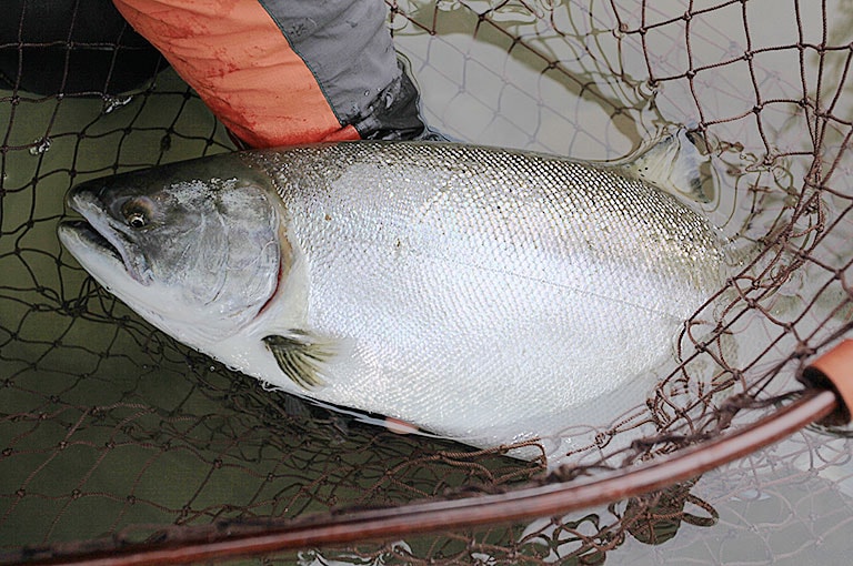 上手くコントロールすれば底近くに潜む大ものにアピールできる