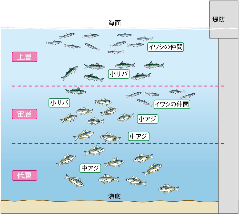 サビキ釣りが楽しめる場所と対象魚の泳層 初めての 堤防のサビキ釣り 入門 Honda釣り倶楽部 Honda