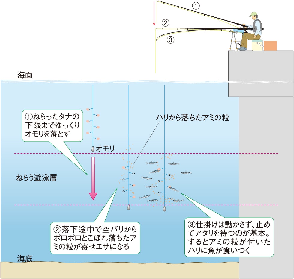 投げ サビキ 仕掛け