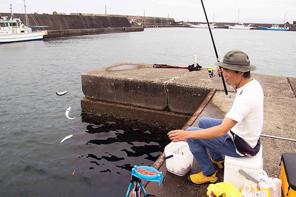 トリックサビキ仕掛けを使った釣り方 初めての 堤防のサビキ釣り 入門 Honda釣り倶楽部 Honda