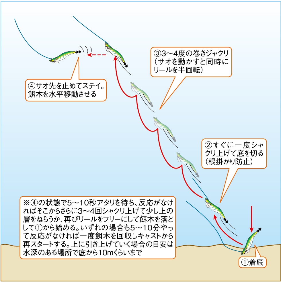 アオリイカのティップランエギング徹底解説 5 着底後のシャクリ ステイ 釣り方 釣り具解説 Honda釣り倶楽部 Honda