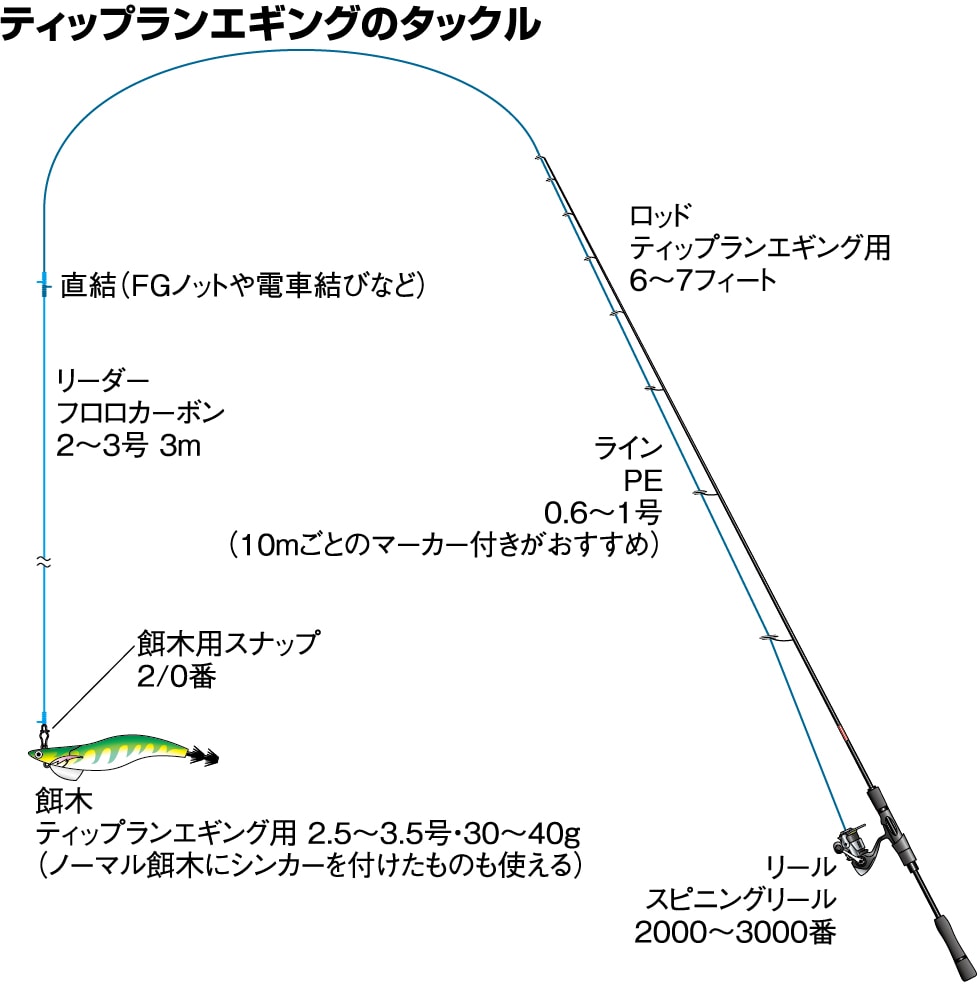 アオリイカのティップランエギング徹底解説 2 必要な道具 釣り方 釣り具解説 Honda釣り倶楽部 Honda