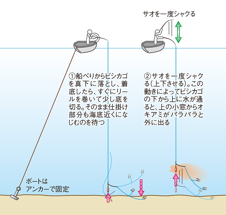 ボート釣り徹底攻略 ライトコマセ釣りの仕掛けと釣り方 Honda釣り倶楽部 Honda