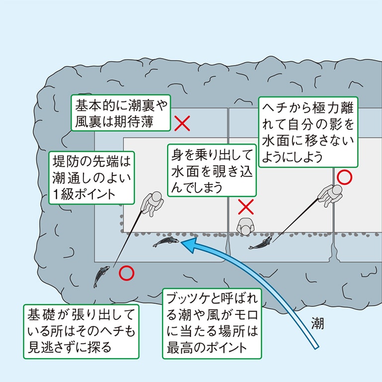 解説 クロダイ落とし込み釣り入門 ヘチ釣りの基本操作 Honda釣り倶楽部 Honda