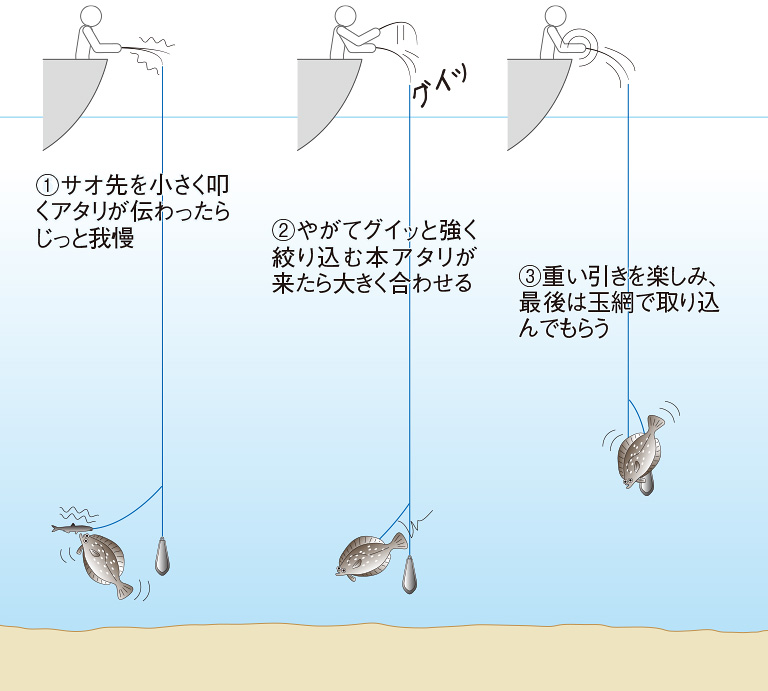 船のヒラメ釣りの基本を徹底解説 アタリとアワセ Honda釣り倶楽部 Honda公式サイト