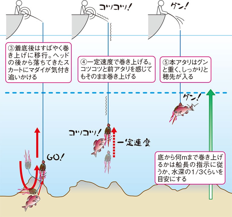 初心者必見 タイラバの基本を徹底解説 等速巻き と 波動の意識 Honda釣り倶楽部 Honda