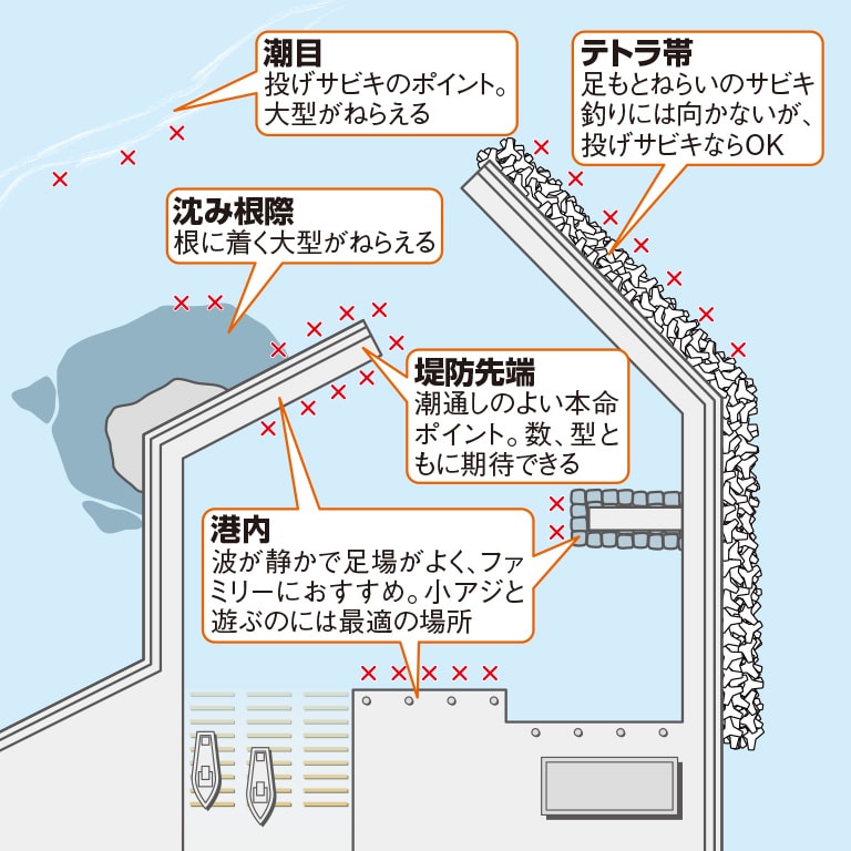 アジのサビキ釣りの基本を徹底解説 釣れるポイントの探し方 Honda釣り倶楽部 Honda