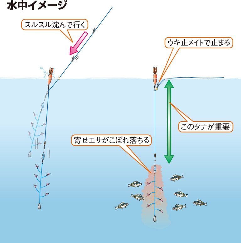 飲 ませ サビキ 仕掛け