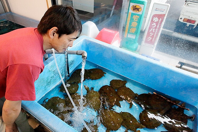 四万十川で楽しむアマゴ釣り 美しい釣り場を巡る Honda釣り倶楽部 Honda