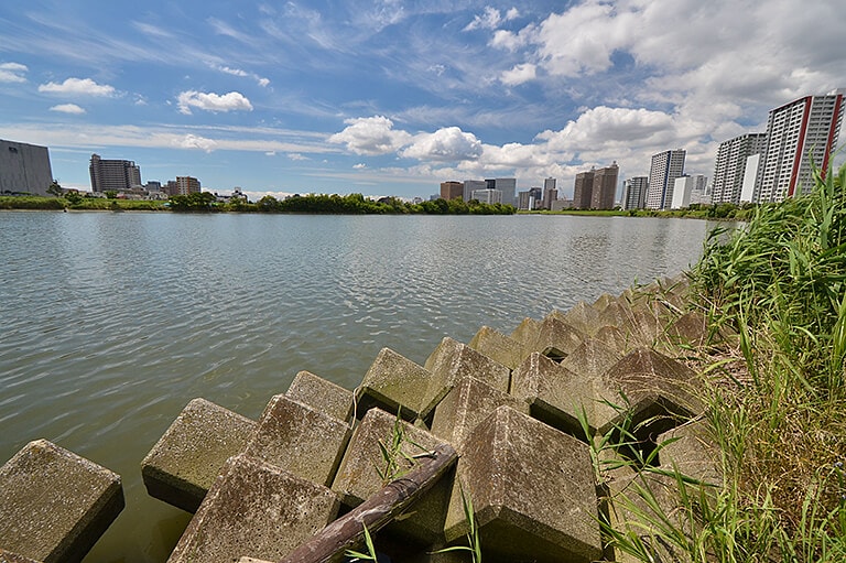 「汽水域」とは？生息する主な魚や知っておきたい重要な役割