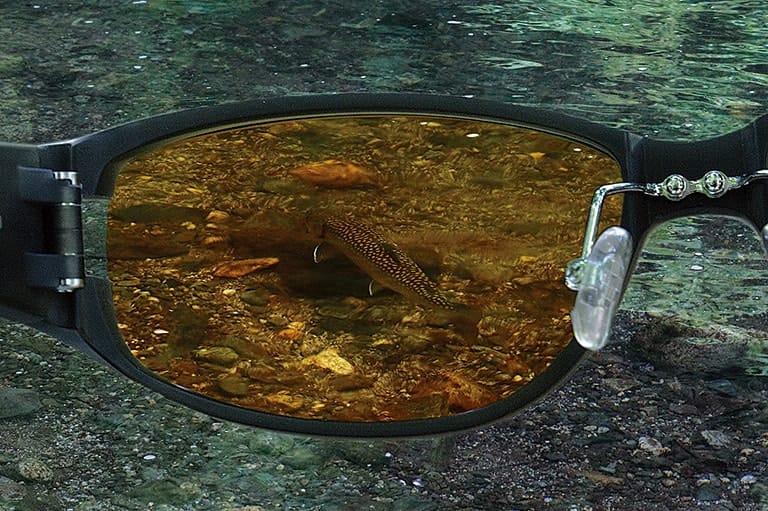 偏光グラスの選び方とメンテナンス