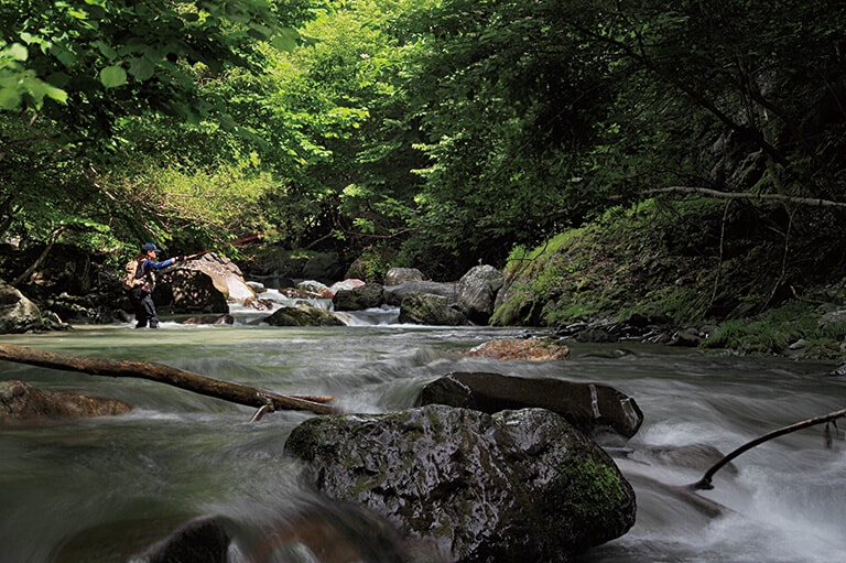 渓流釣りの「解禁」ってなに？
