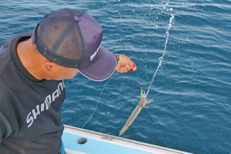 「魚」でなくても大人気！イカ釣りの魅力