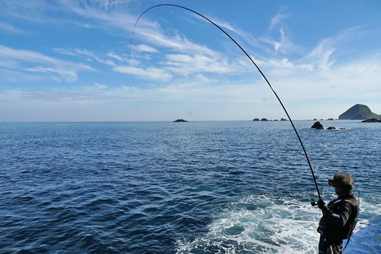 材料は 製法は 意外に知らない釣り竿の基本 Honda釣り倶楽部 Honda公式サイト