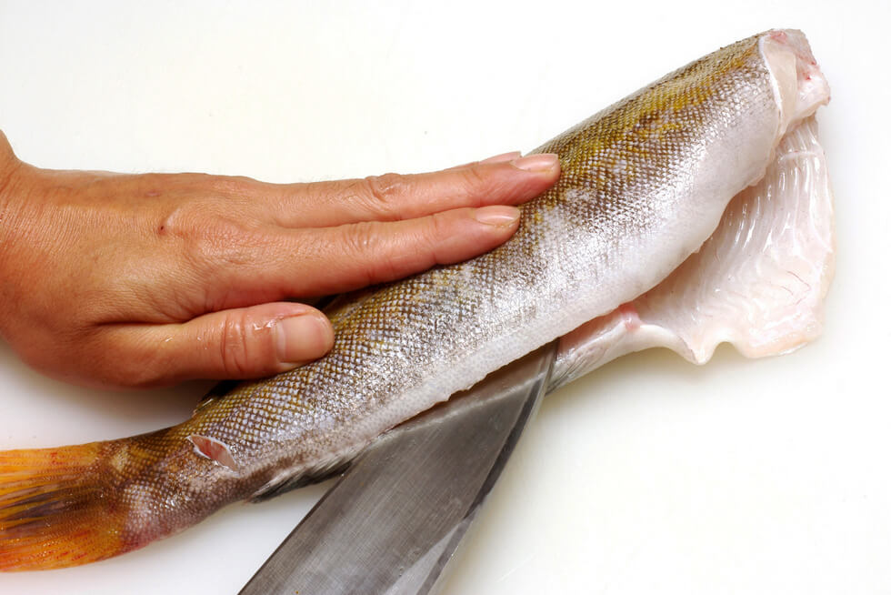 魚を返して尻ビレに沿って腹身を切り開く。