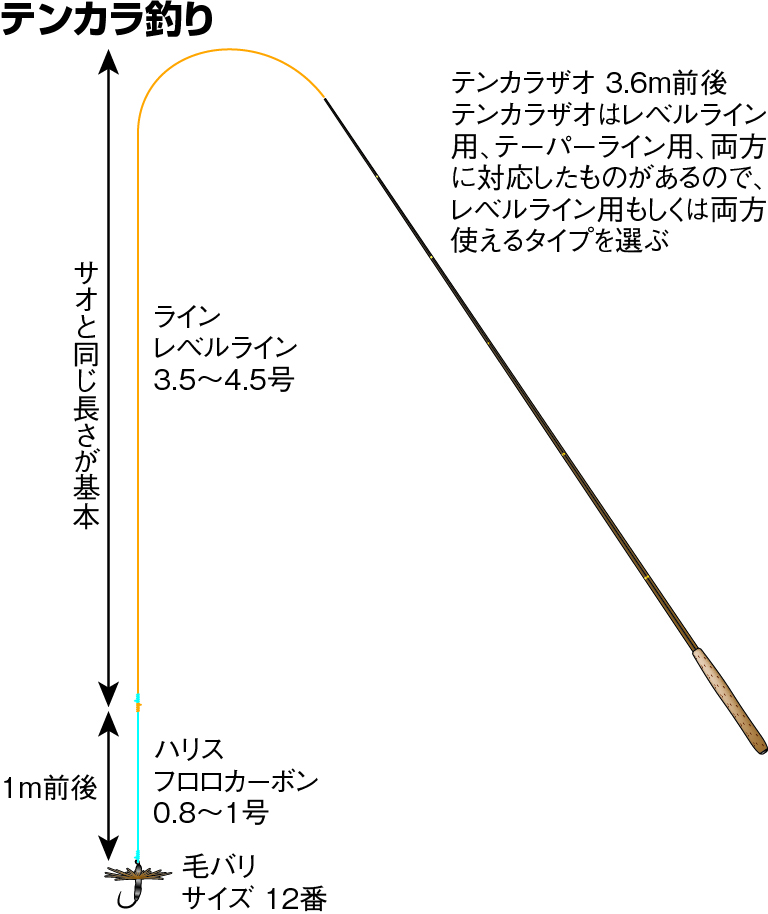 テンカラ釣り（アマゴ）