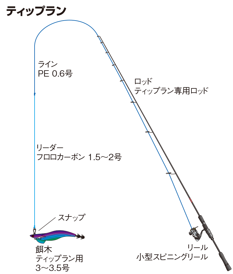 アオリイカの仕掛け ティップラン エギング ヤエン ウキ 釣魚図鑑 特徴 仕掛け さばき方 Honda釣り倶楽部 Honda