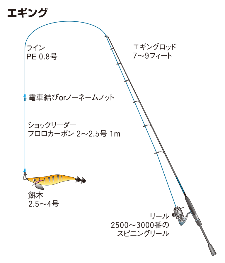 アオリイカの仕掛け ティップラン エギング ヤエン ウキ 釣魚図鑑 特徴 仕掛け さばき方 Honda釣り倶楽部 Honda