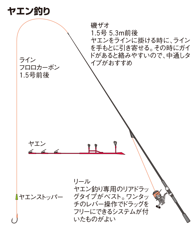 アオリイカの仕掛け ティップラン エギング ヤエン ウキ 釣魚図鑑 特徴 仕掛け さばき方 Honda釣り倶楽部 Honda