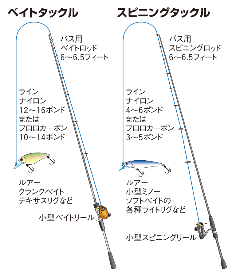 ブラックバスの仕掛け ベイトタックル スピニングタックル 釣魚図鑑 特徴 仕掛け さばき方 Honda釣り倶楽部 Honda公式サイト