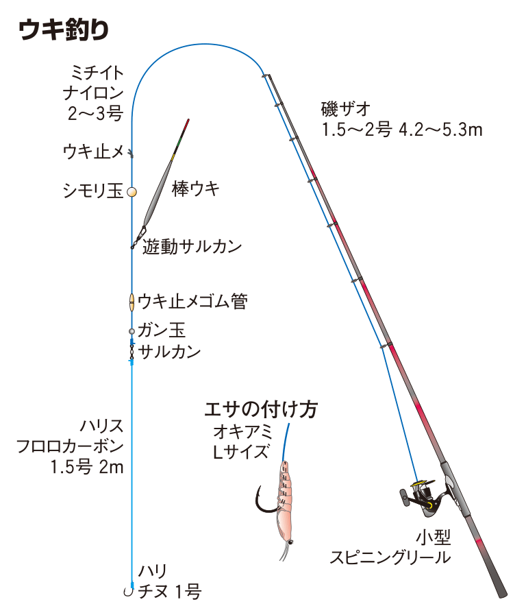 ボラの仕掛け ウキ釣り 釣魚図鑑 特徴 仕掛け さばき方 Honda釣り倶楽部 Honda