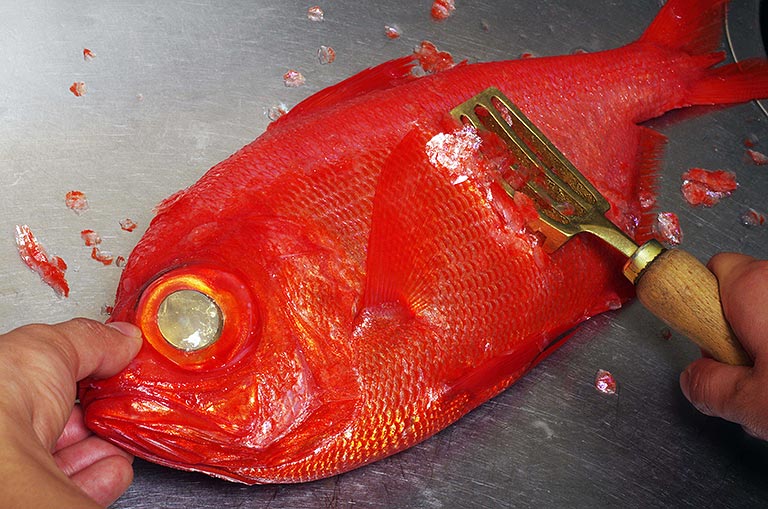 キンメダイのさばき方