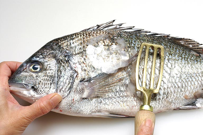 クロダイのさばき方