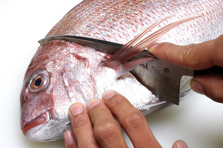 マダイのさばき方