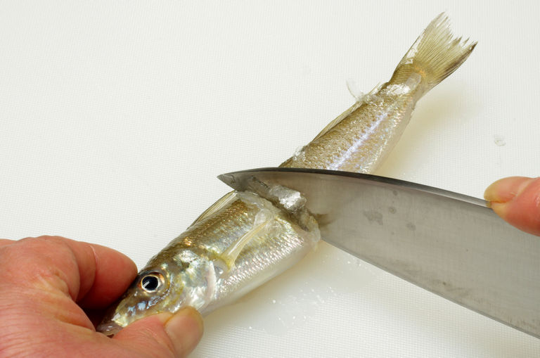 シロギスのさばき方