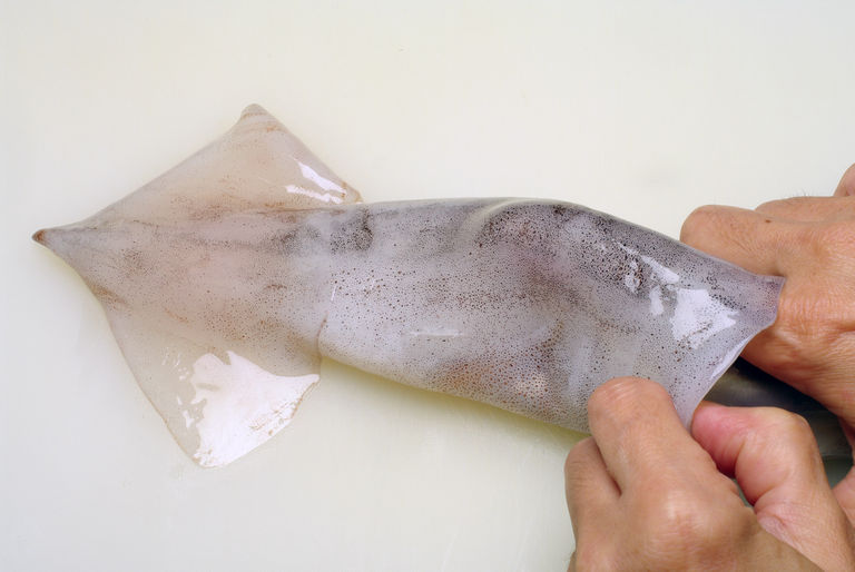 スルメイカのさばき方