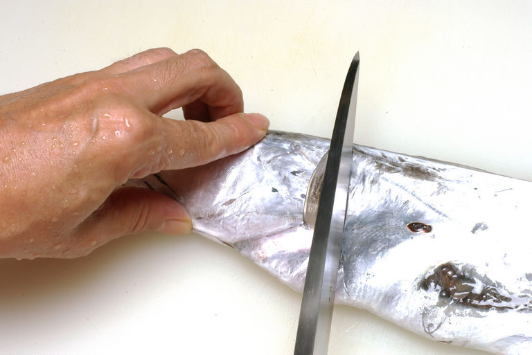 タチウオのさばき方