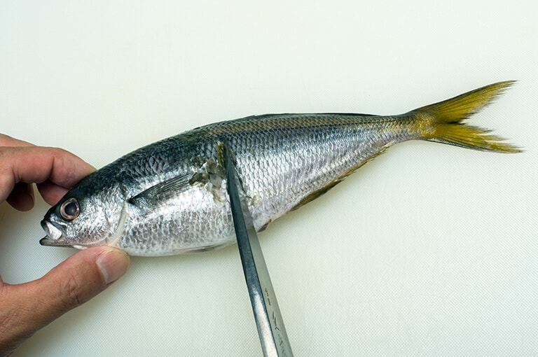 タカベのさばき方