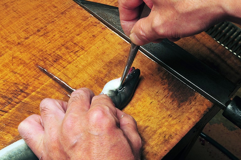 ウナギのさばき方