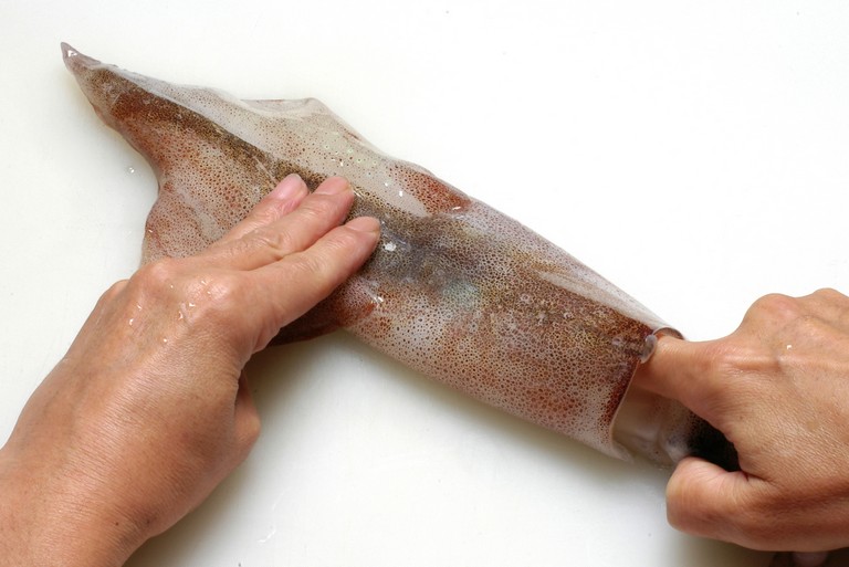 ヤリイカのさばき方