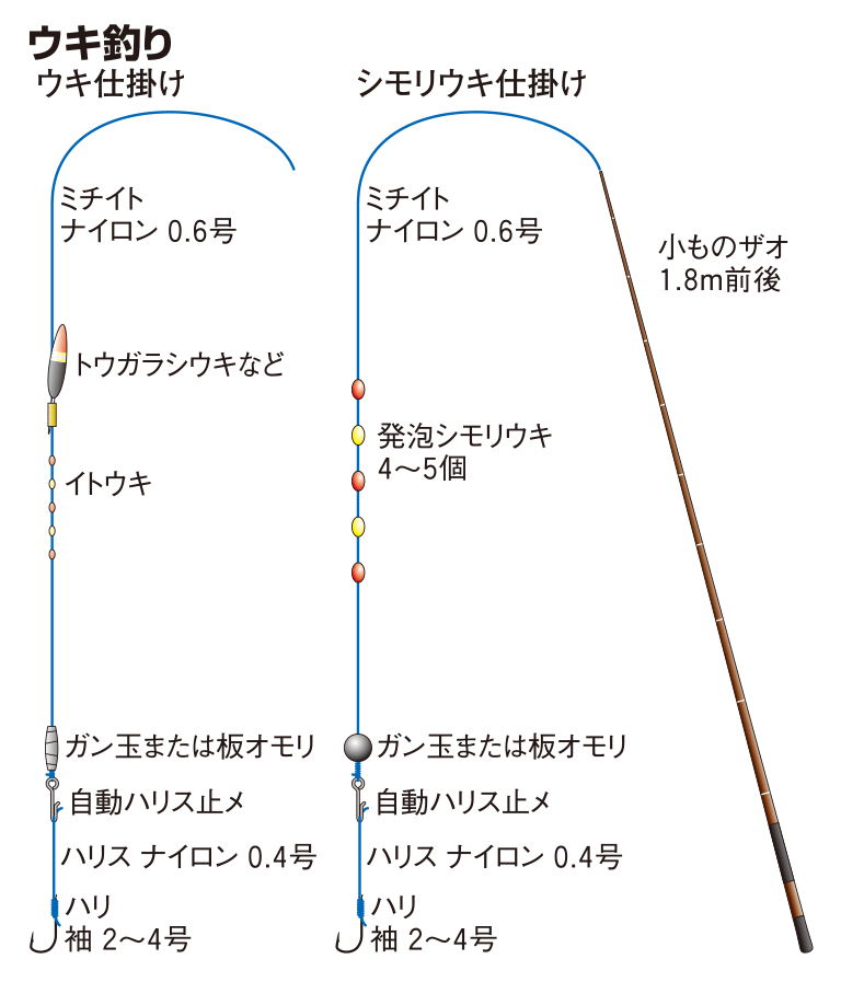 フナの仕掛け ウキ釣り 釣魚図鑑 特徴 仕掛け さばき方 Honda釣り倶楽部 Honda