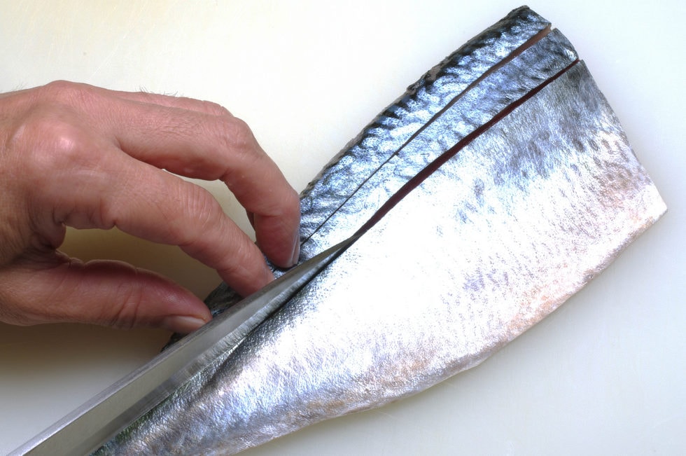 締めサバを盛り付ける時は見た目がよく醤油もなじみやすい「八重造り」がおすすめ。まず背身の部分に1~2本の飾り包丁を入れる。