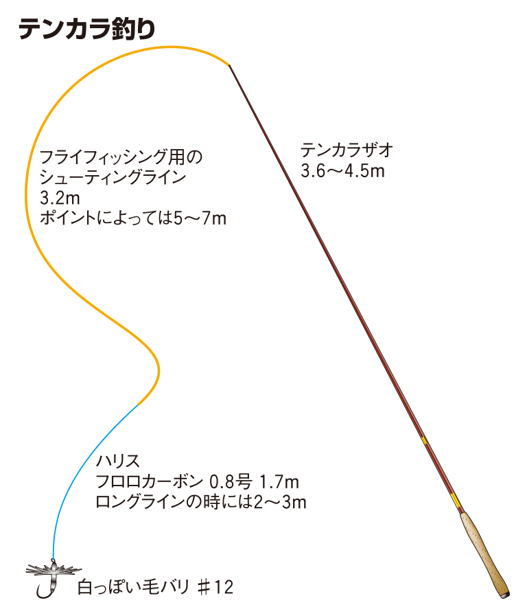 ハスの仕掛け ルアー テンカラ釣り 釣魚図鑑 特徴 仕掛け さばき方 Honda釣り倶楽部 Honda